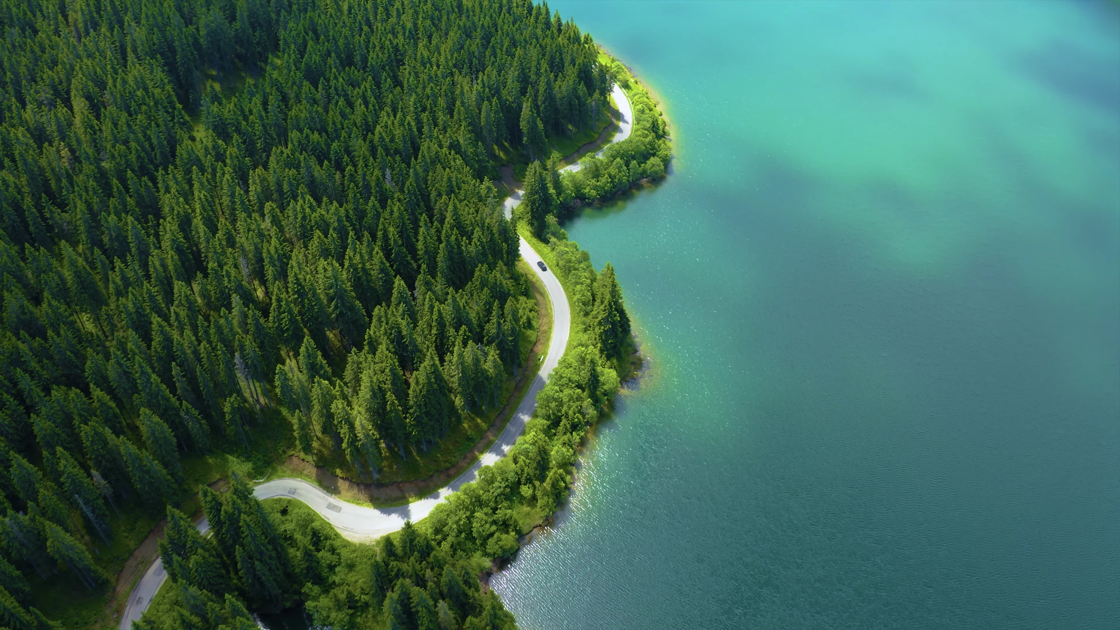 Aerial view of a forest and lake